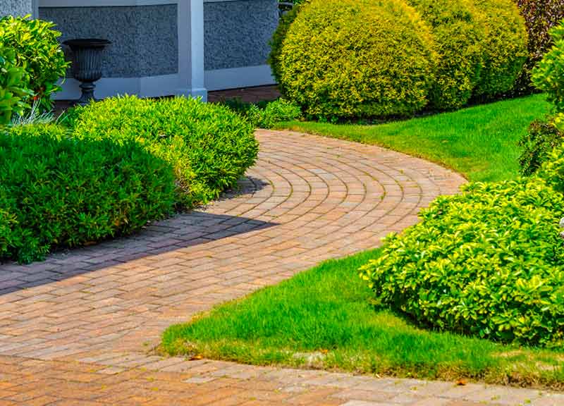 Nettoyage des extérieurs Sur Paris et l’Île-de-France - MAÎTRE COUVERTURE… Nettoyage des extérieurs :  allée, pavé, dallage, terrasse, muret … Traitement anti-mousse des extérieurs. ntervention dans les meilleurs délais sur Paris (75) et en Île-de-France : L’Essonne (91), la Seine-et-Marne (77), les Yvelines (78), le Val-de-Marne (94) et les Hauts-de-Seine (92). Maître Couverture sur PARAY-VIEILLE-POSTE (91). Par téléphone ou en ligne, Mr David BARNABEAU est à votre écoute pour tous vos projets de nettoyage des extérieurs.